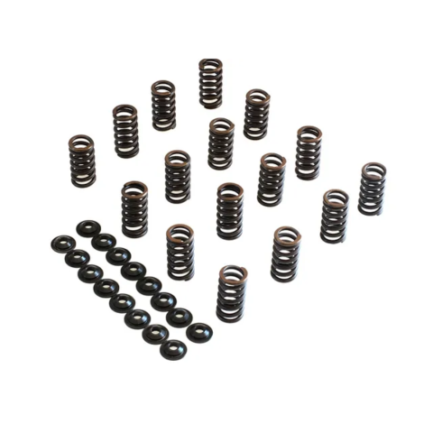 STK Performance Single Valve Spring Kit VAG EA113 image 1